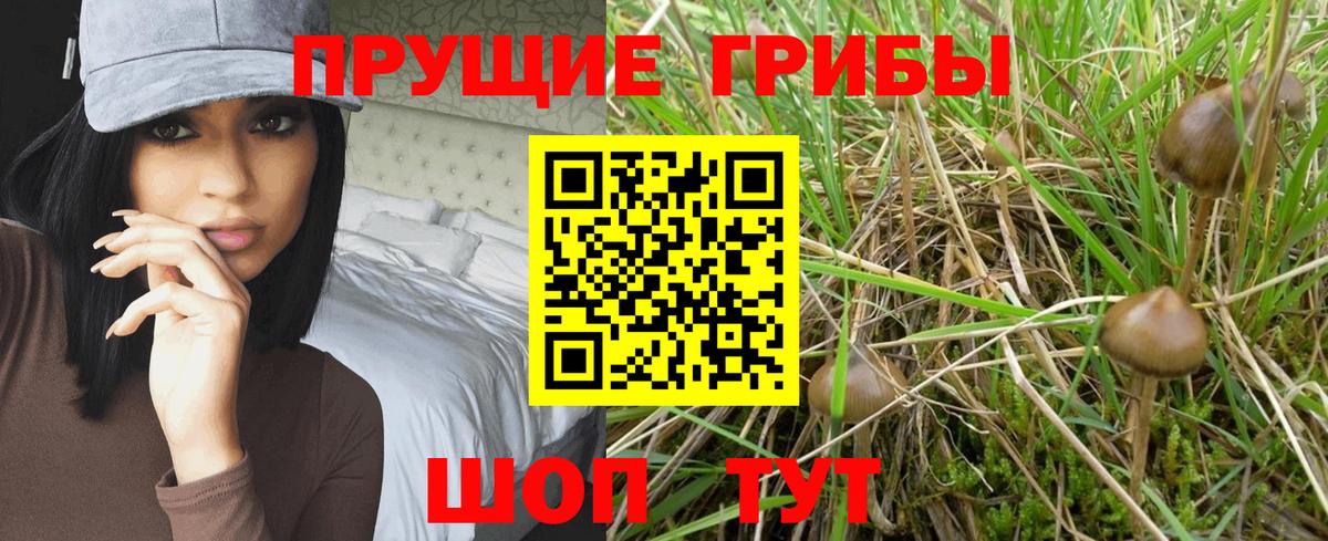 Псилоцибиновые грибы MAGIC MUSHROOMS Шебекино