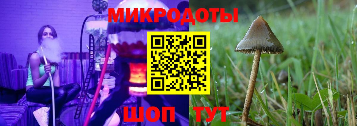 Псилоцибиновые грибы мицелий  Вход с VPN  Шебекино 